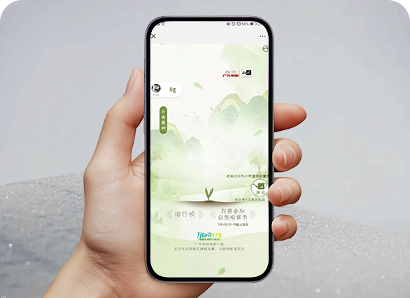 寻找我的森系伴侣