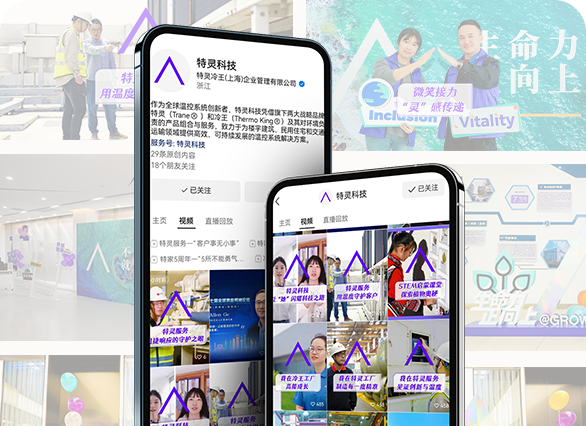 特灵科技年度运营