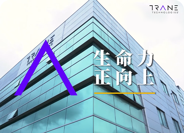 特灵科技视频—品宣向