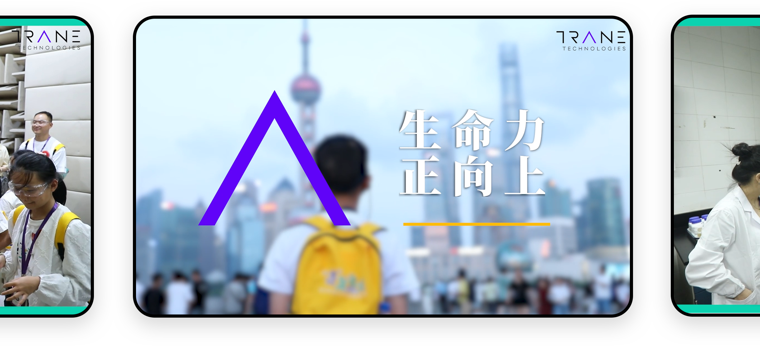 大图1