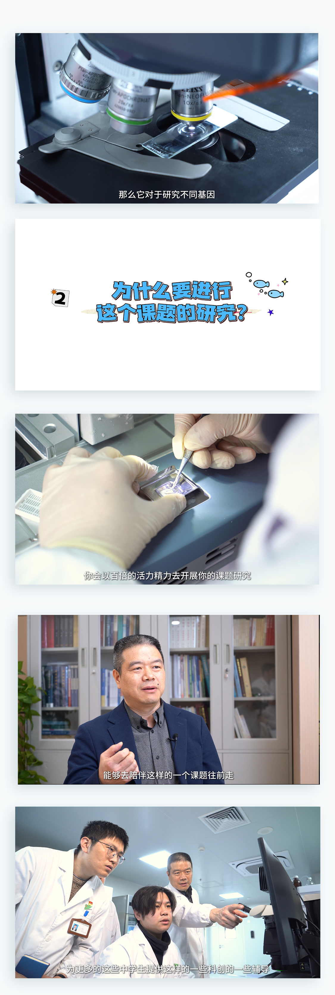 更多页面展示